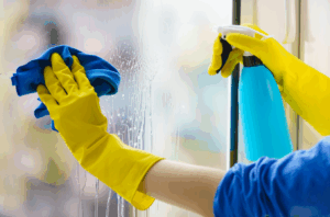 Window Cleaning Services